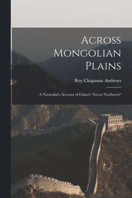 Across Mongolian Plains