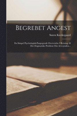 Begrebet Angest