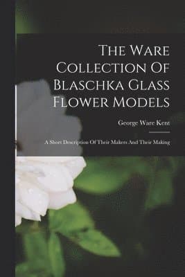 Ware Collection Of Blaschka Glass Flower Models
