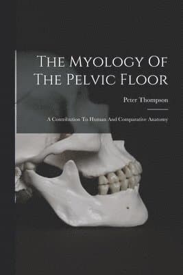 Myology Of The Pelvic Floor