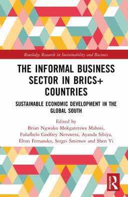 Informal Business Sector in BRICS+ Countries