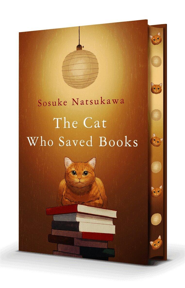 Cat Who Saved Books
