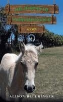 Horses of Saddlers Ranch: Acorn