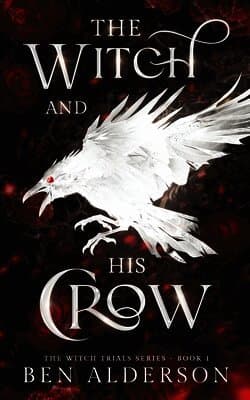 Witch and His Crow