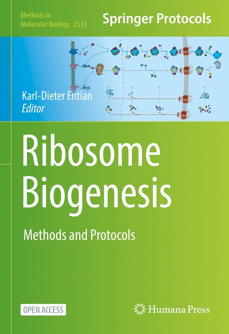 Ribosome Biogenesis