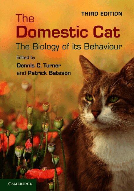 The Domestic Cat
