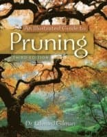 An Illustrated Guide to Pruning