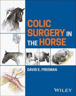 Colic Surgery in the Horse