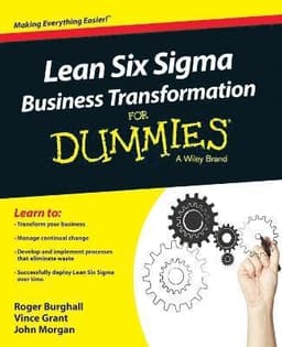 Lean Six Sigma Business Transformation For Dummies