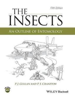 Insects