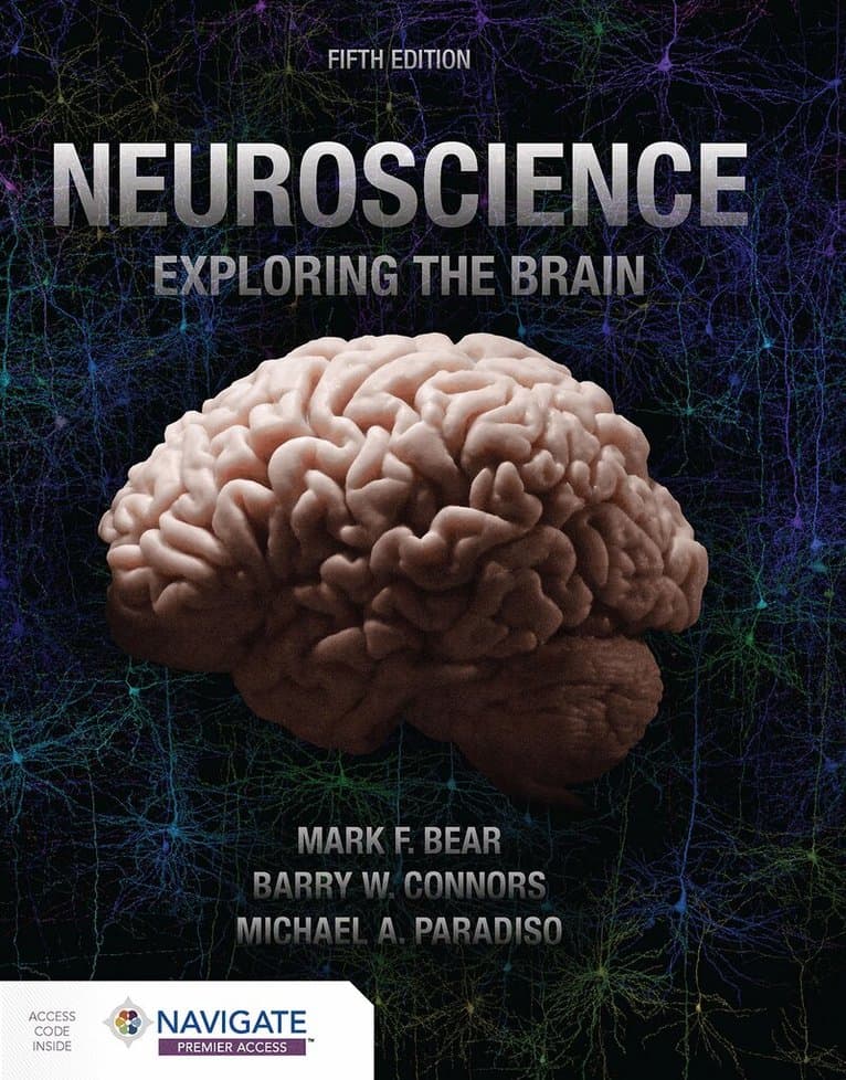 Neuroscience: Exploring the Brain