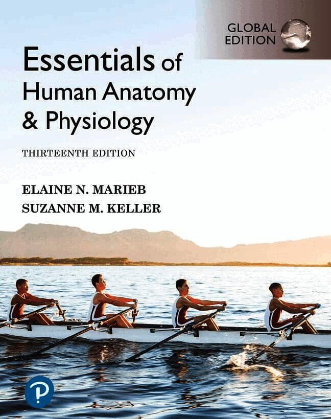 Essentials of Human Anatomy & Physiology, Global Edition