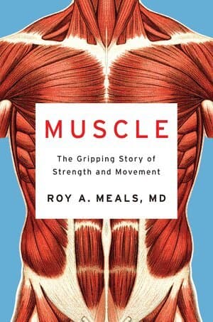 Muscle