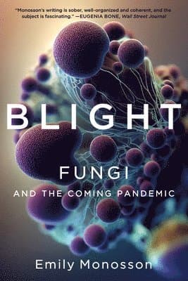 Blight
