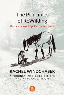 Principles of ReWilding