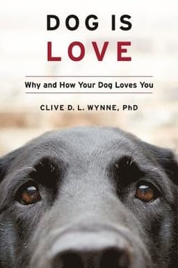 Dog Is Love