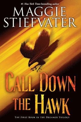Omslag till boken Call Down the Hawk (The Dreamer Trilogy, Book 1) av Maggie Stiefvater