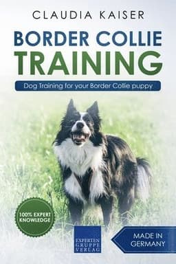 Border Collie Training - Dog Training for Your Border Collie Puppy