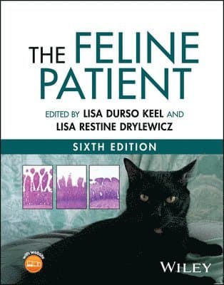 Feline Patient