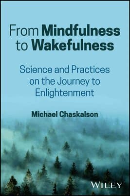 From Mindfulness to Wakefulness
