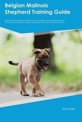 Belgian Malinois Shepherd Training Guide