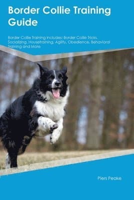 Border Collie Training Guide Border Collie Training Includes