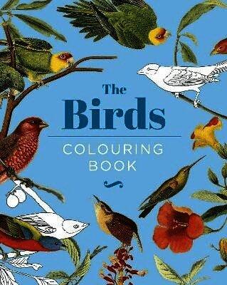 Birds Colouring Book