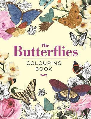 Butterflies Colouring Book