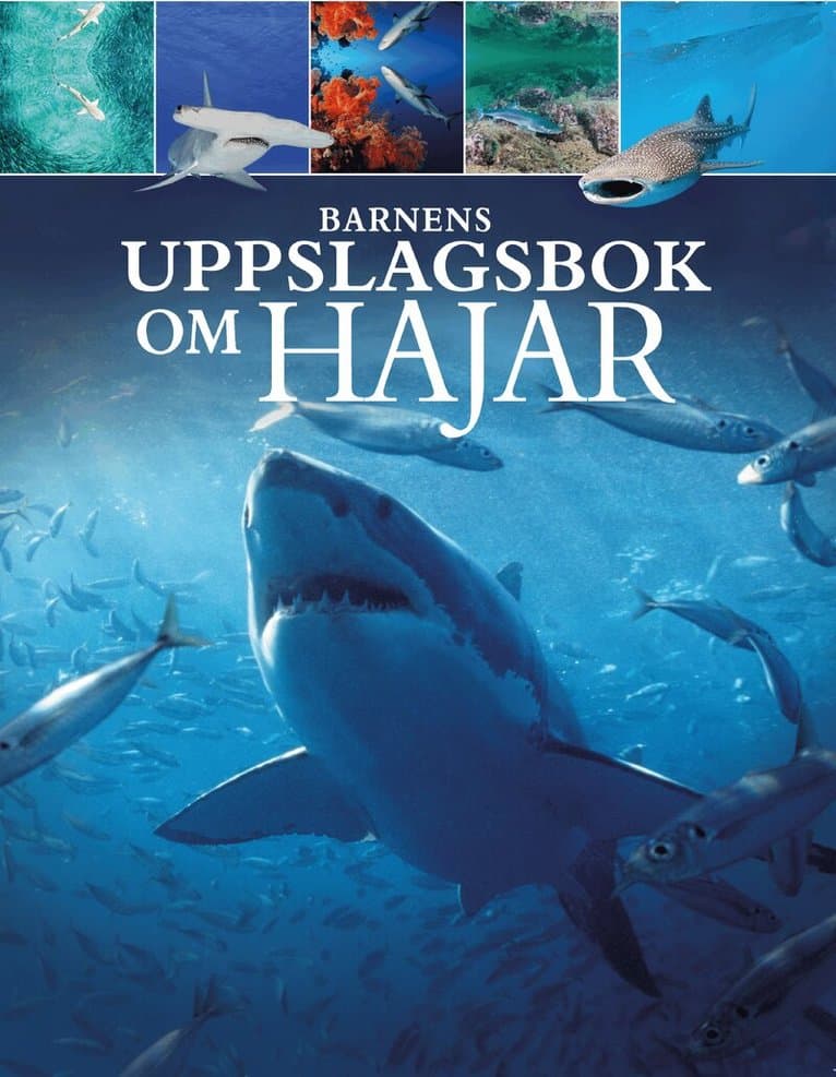 Barnens uppslagsbok om hajar