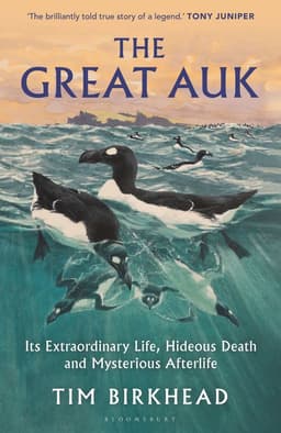 Great Auk