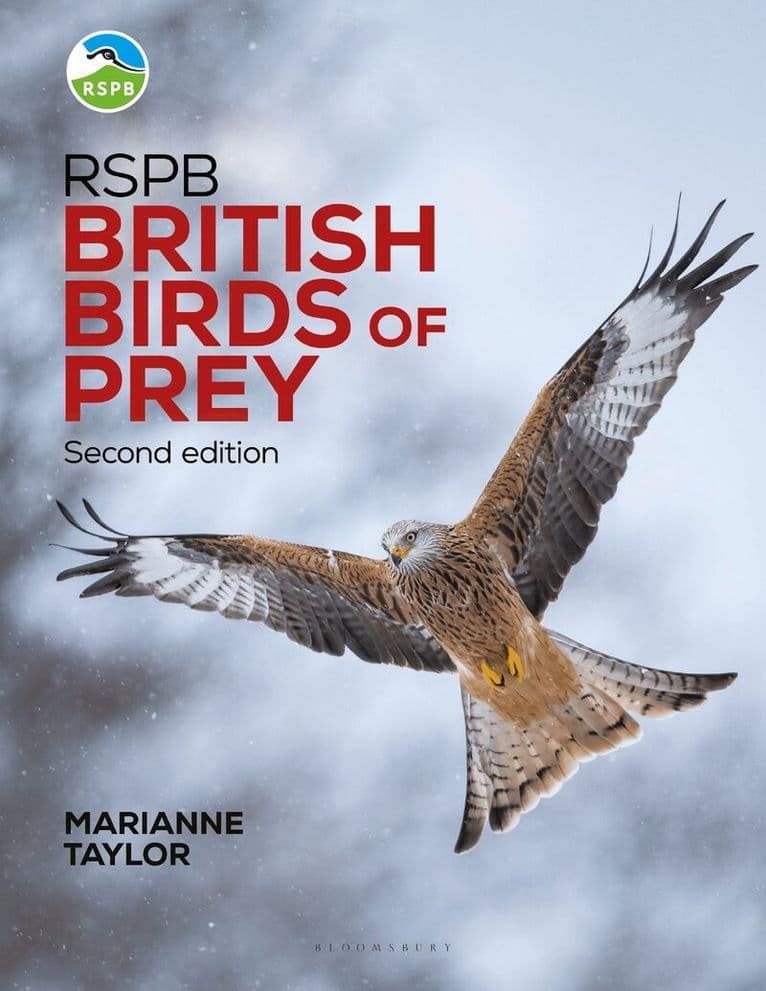 RSPB British Birds of Prey