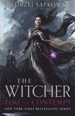 Omslag till boken Time of Contempt av Andrzej Sapkowski