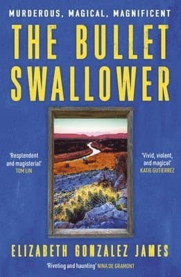 Bullet Swallower