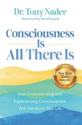 Consciousness Is All There Is: How Understanding and Experiencing Consciousness Will Transform Your Life
