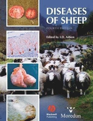 Diseases of Sheep