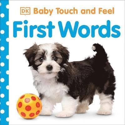 Baby Touch and Feel First Words