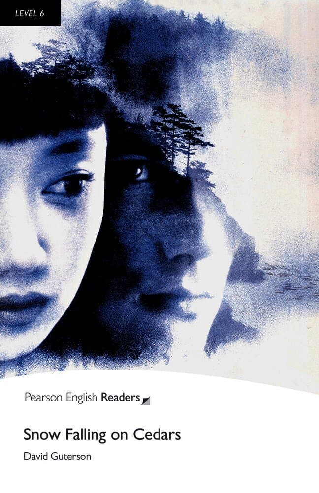 Level 6: Snow Falling on Cedars