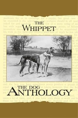 Whippet - A Dog Anthology (A Vintage Dog Books Breed Classic)