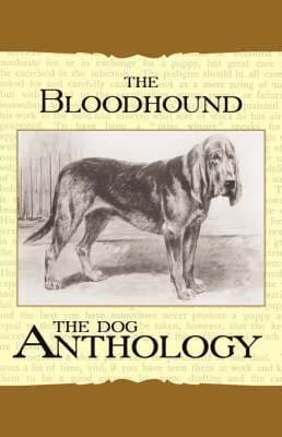 Bloodhound - A Dog Anthology (A Vintage Dog Books Breed Classic)