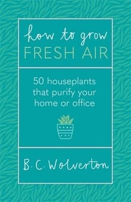 How To Grow Fresh Air