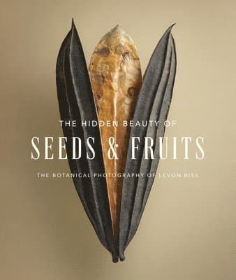 Hidden Beauty of Seeds & Fruits: The Botanical Photography of Levon Biss