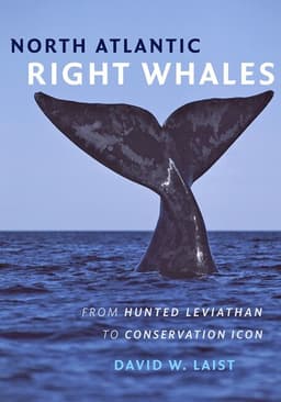 North Atlantic Right Whales
