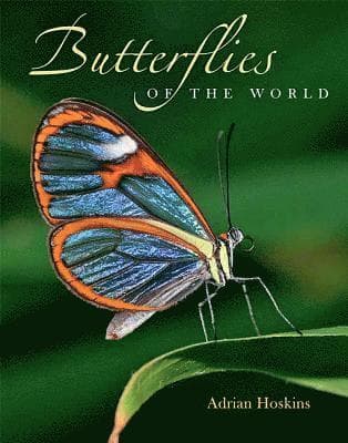 Butterflies of the World
