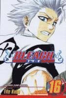 Bleach, Vol. 16
