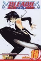 Bleach, Vol. 18