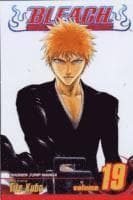 Bleach, Vol. 19
