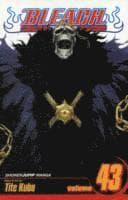 Bleach, Vol. 43