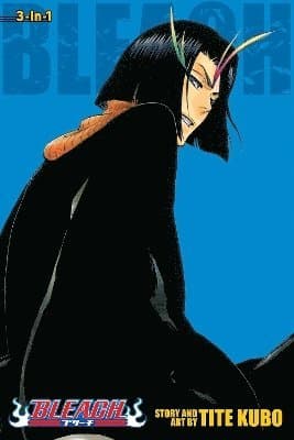 Bleach (3-in-1 Edition), Vol. 13