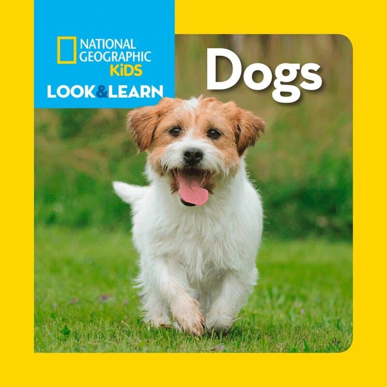Look and Learn: Dogs