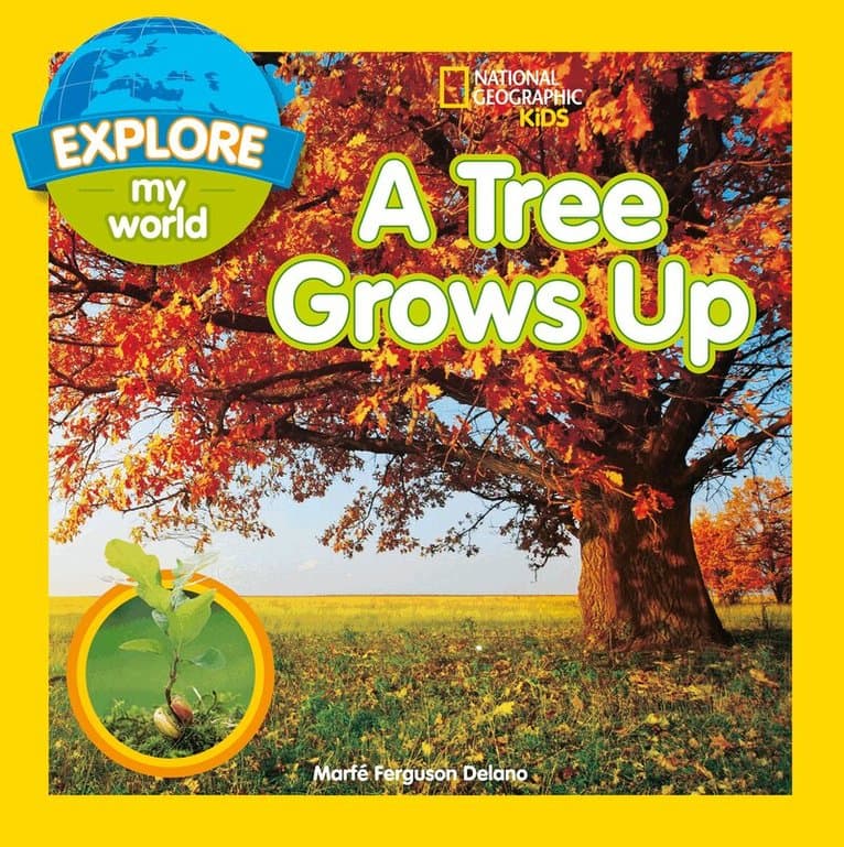 Tree Grows Up